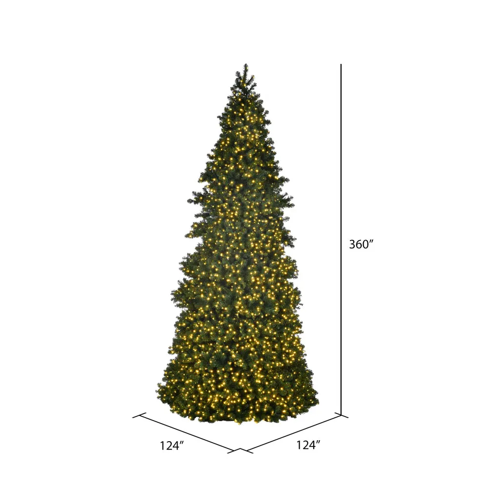 30'x124" Artificial Pre-Lit Slim Grand Teton Frame Tree with LED Colored Light