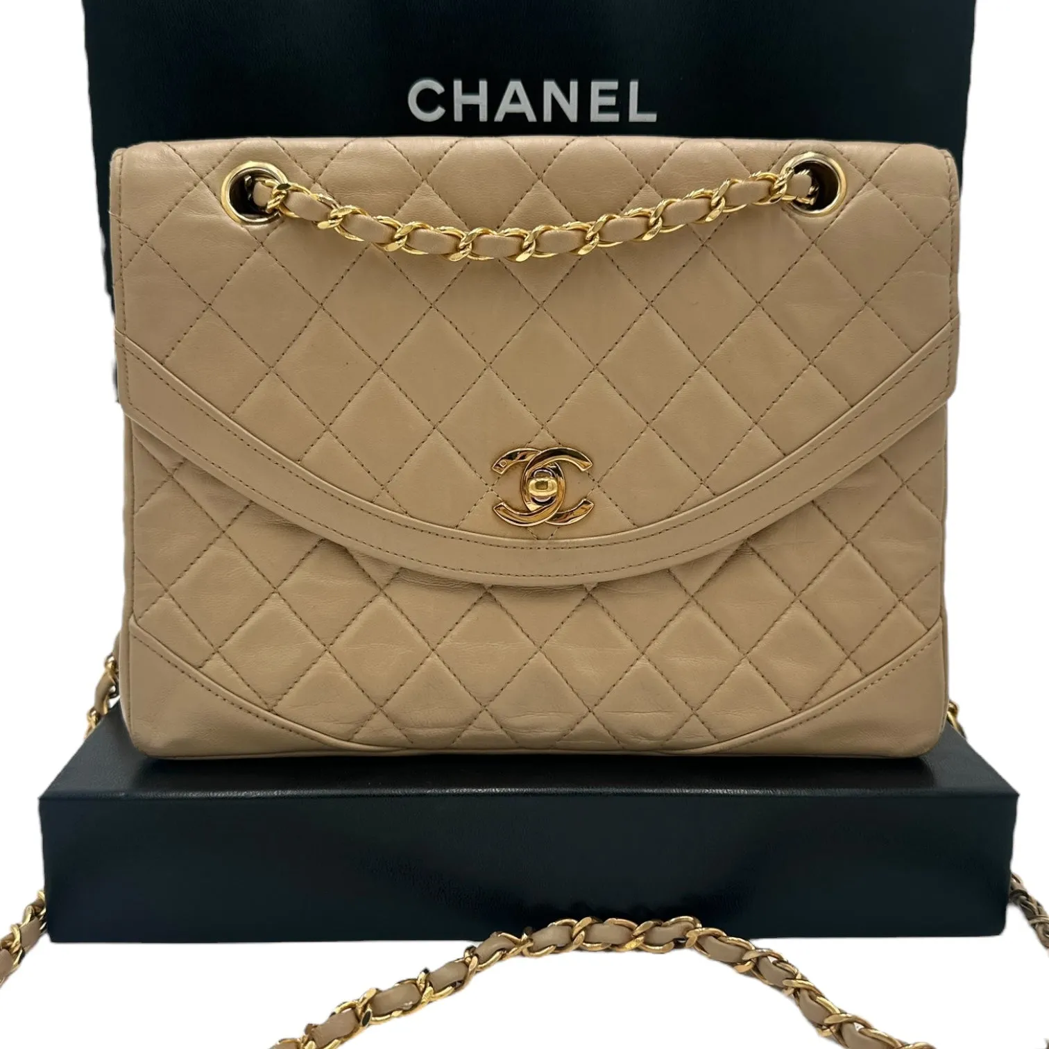 CHANEL Lambskin Seasonal Diana Single Flap Bag