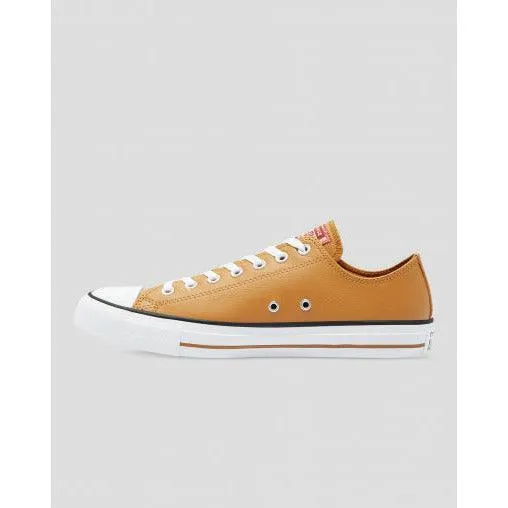 Converse Chuck Taylor All Star Summer Daze Low Top Shoe