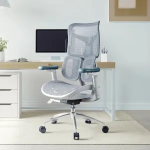 Doro S100 Ergonomic Office Chair with Dual Dynamic Lumbar Support