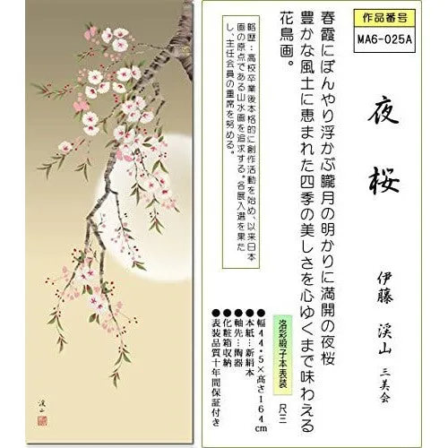 Kakejiku Night Time Sakura Full Moon Keizan Ito Hanging Scroll