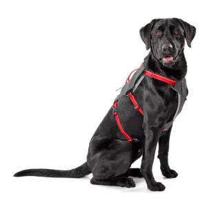 Tough Trail® Six-Point Dog Harness